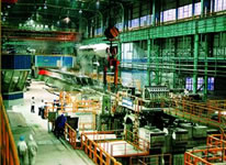 �B�T�C(j��) Caster